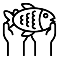 wwd 5